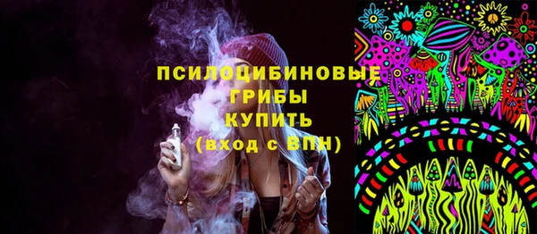 стаф Баксан