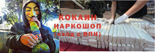 стаф Баксан