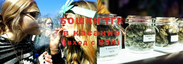 PSILOCYBIN Балахна