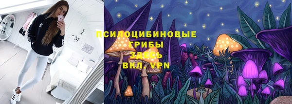 круглые Белокуриха