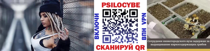 Галлюциногенные грибы Psilocybe Горячеводский